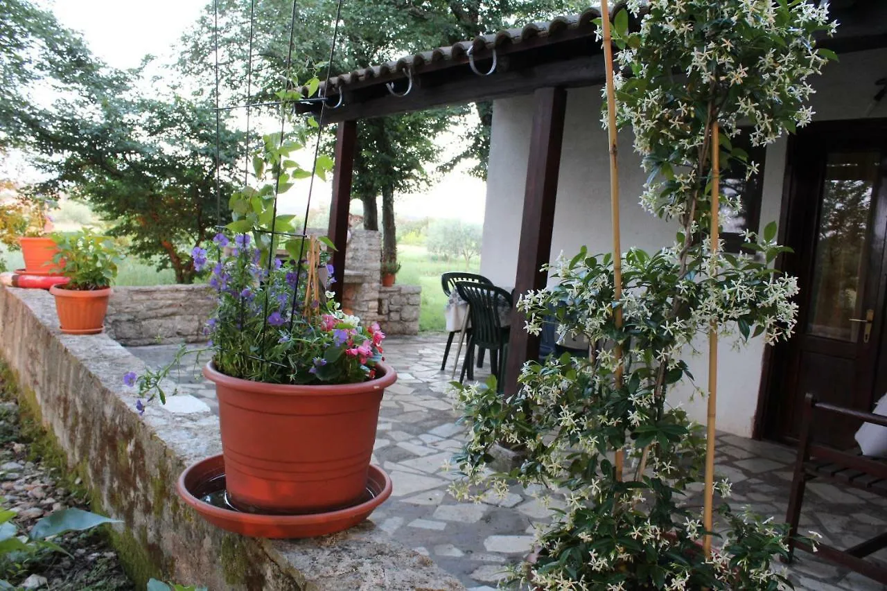 Apartment Marijana Murine 0*,  Croatia